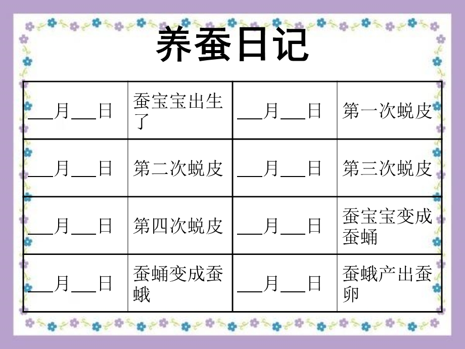 湘教版三起三年级科学下册《3.4昆虫》ppt课件.ppt_第3页