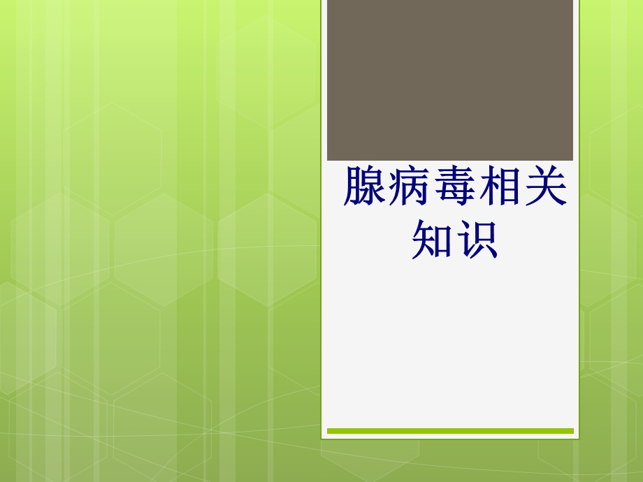 腺病毒相关知识培训ppt课件.ppt_第1页