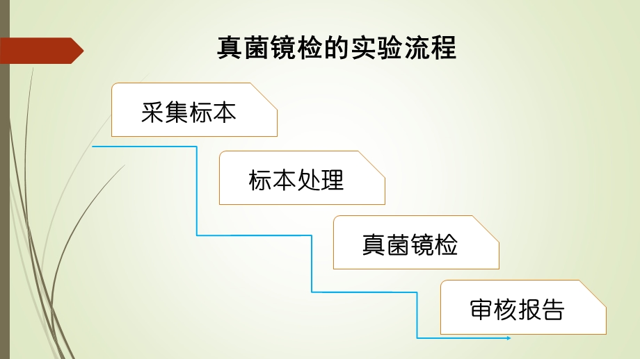 真菌镜检的实验室操作课件.ppt_第2页