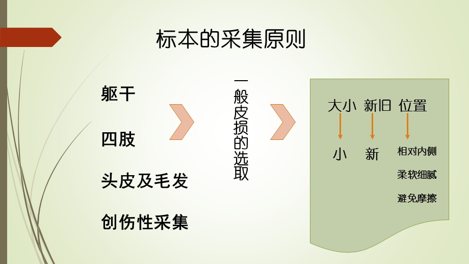 真菌镜检的实验室操作课件.ppt_第3页