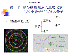 生命的化学组成基础课件.ppt