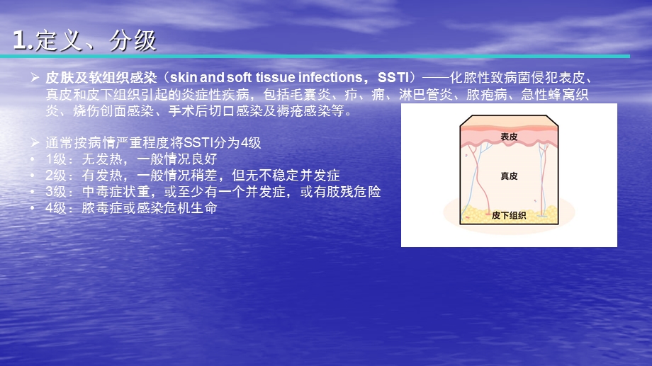 皮肤与软组织感染PPT讲稿课件.ppt_第2页