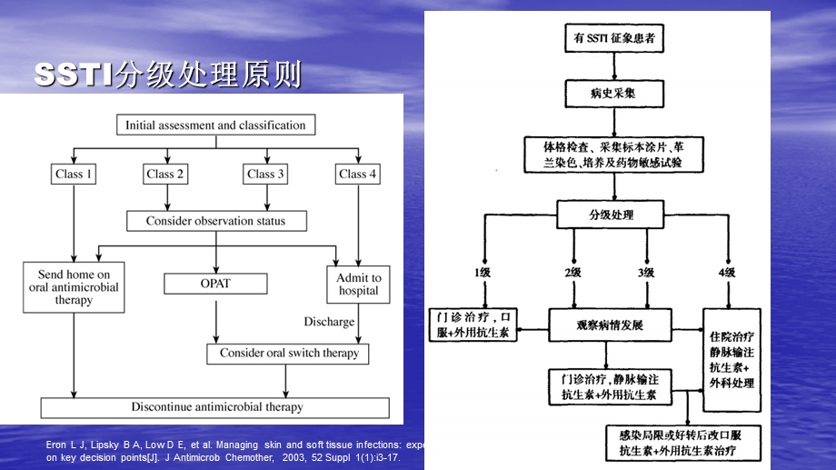 皮肤与软组织感染PPT讲稿课件.ppt_第3页