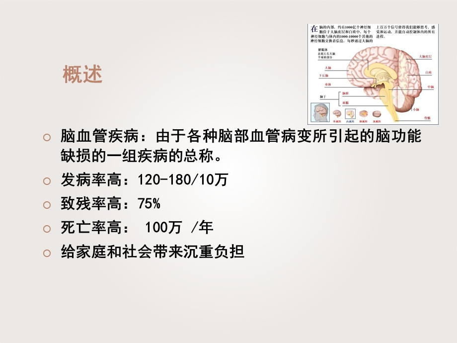 脑血管疾病患者护理课件.ppt_第2页