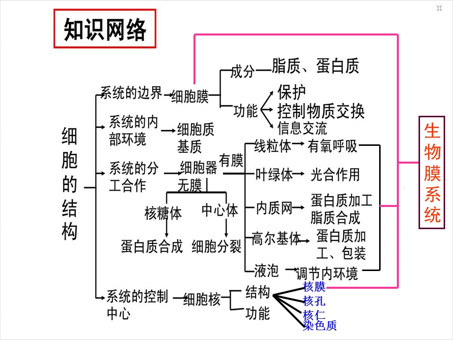 细胞的结构和功能复习课课件.ppt_第1页