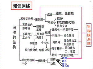 细胞的结构和功能复习课课件.ppt