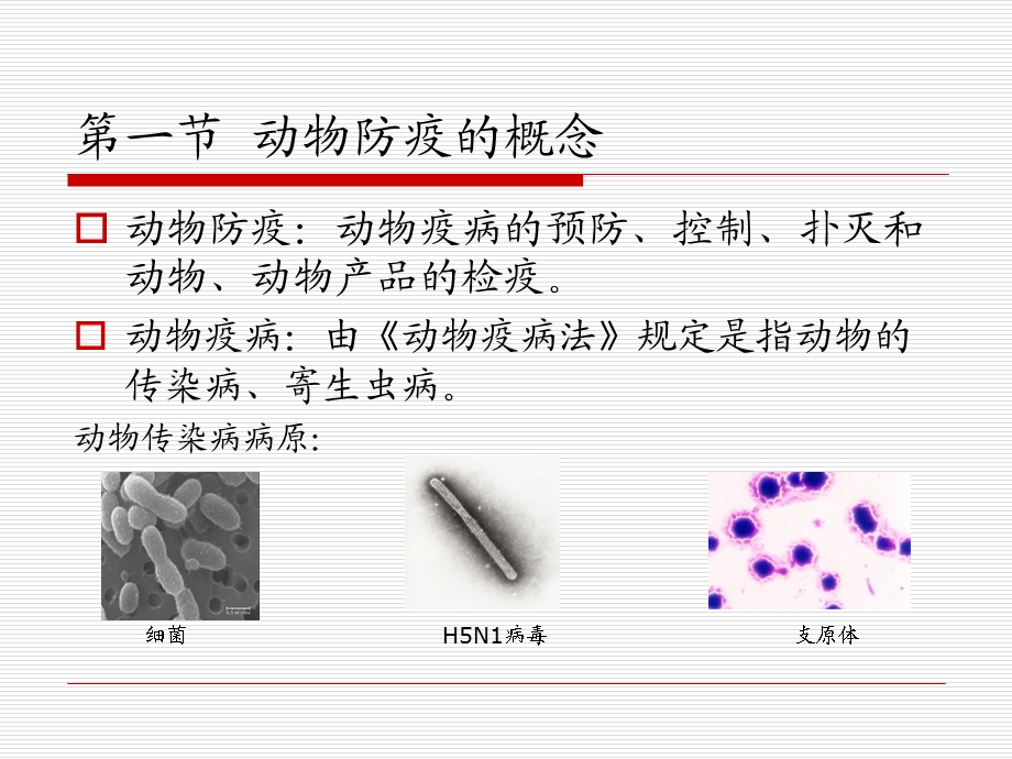 第6章动物防疫管理课件.ppt_第3页