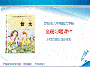 苏教版六年级语文下册《全册习题讲评ppt课件》(24套附答案).ppt