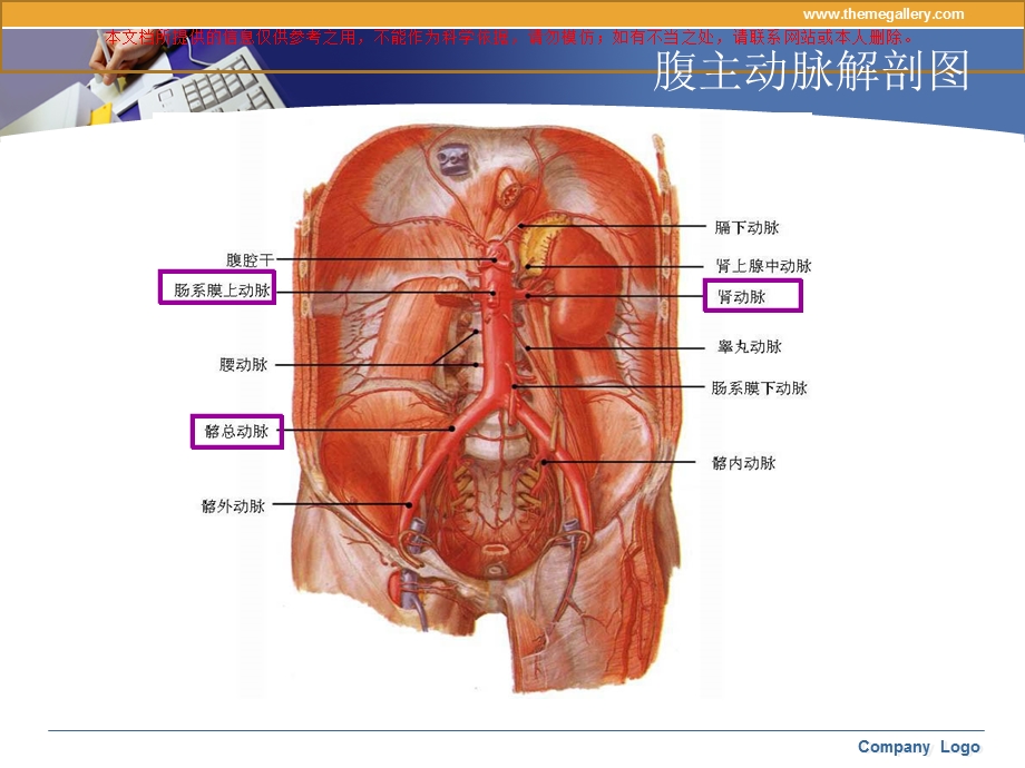 腹主动脉瘤护理查房培训ppt课件.ppt_第1页