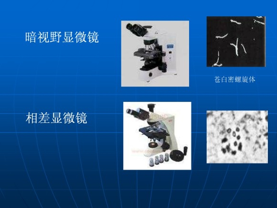 细菌的检查方法课件.ppt_第2页