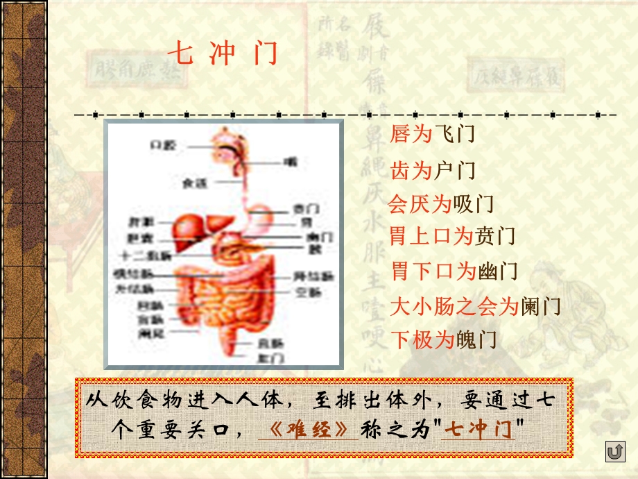 第六节 六腑 课件.ppt_第3页