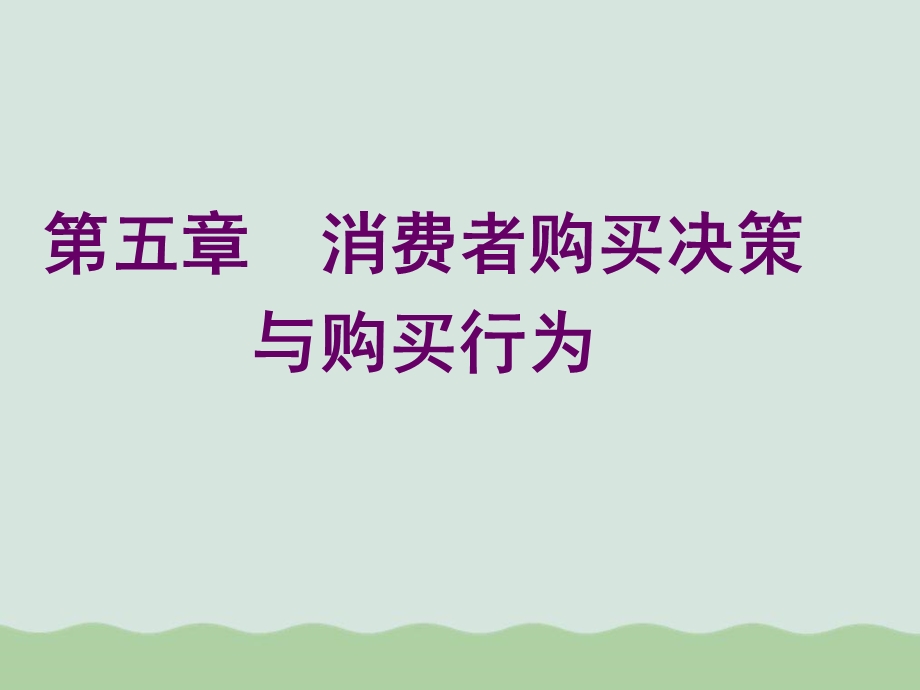 消费者购买决策与购买行为课件.ppt_第1页