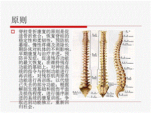 脊柱骨折康复课件.ppt