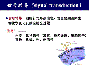 细胞的跨膜信号转导课件.ppt