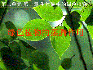 济南版绿色植物的蒸腾作用课件.ppt