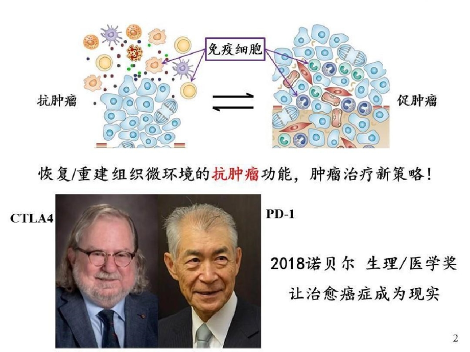 肝癌组织PDL1的表达调控与临床意义课件.ppt_第2页