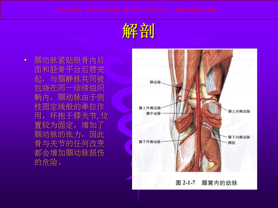 腘动脉损伤专题知识ppt课件.ppt_第1页