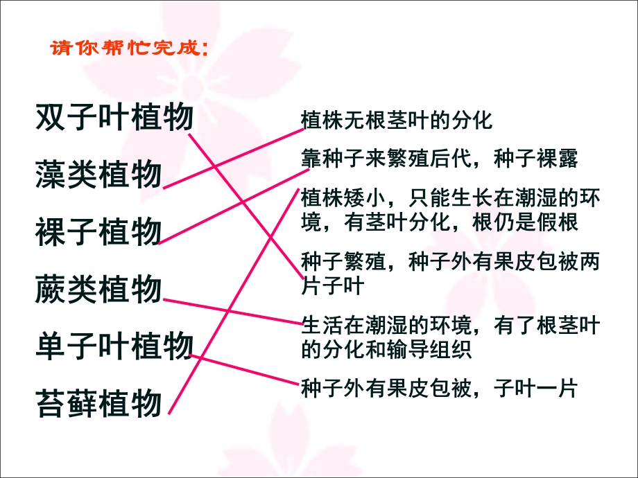 苏教版八年级生物上册总复习ppt课件.pptx_第2页