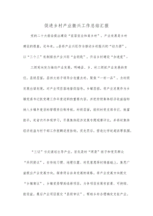 促进乡村产业振兴工作总结汇报.docx