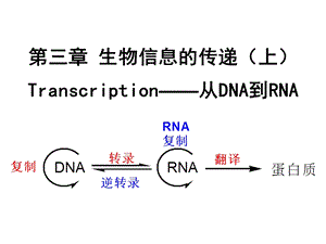 第五章 生物信息的传递(上)转录课件.ppt