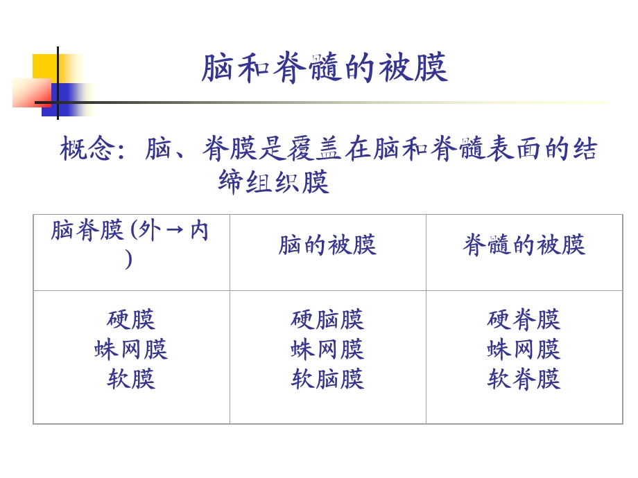 脑和脊髓被膜、血管课件.ppt_第2页