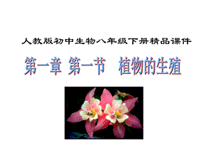 第一节植物的生殖课件.ppt