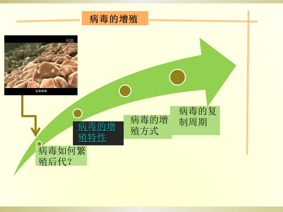 病毒的增殖上课ppt课件比赛.pptx_第3页