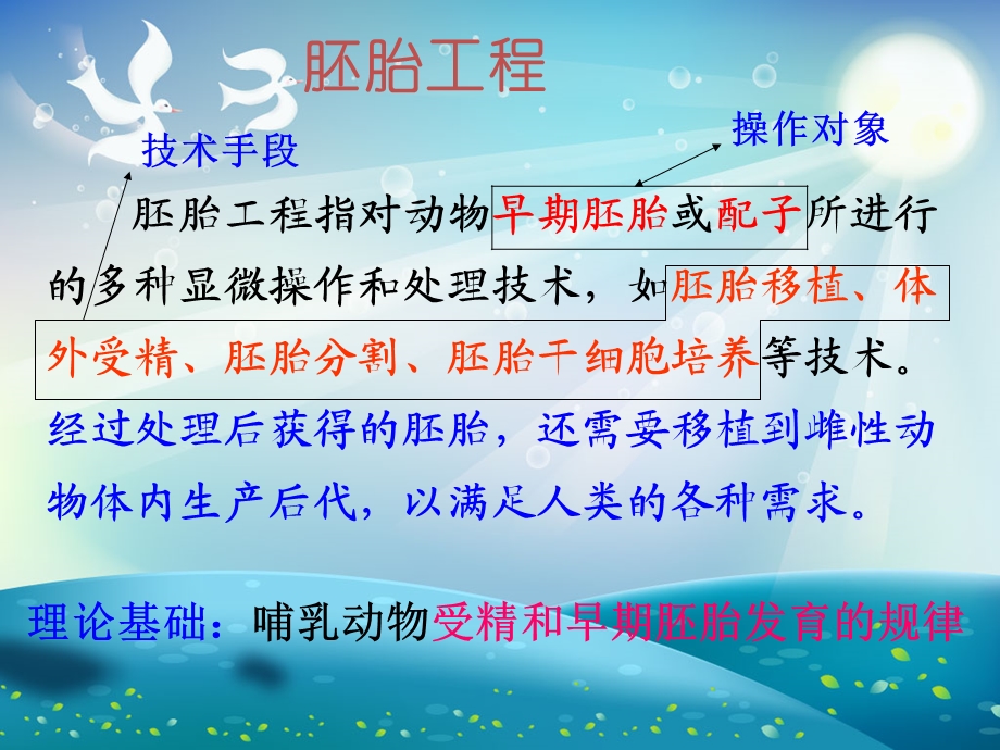 精子发生卵子发生~ppt课件.ppt_第3页