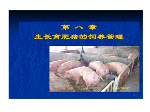 生长育肥猪饲养管理课件.ppt