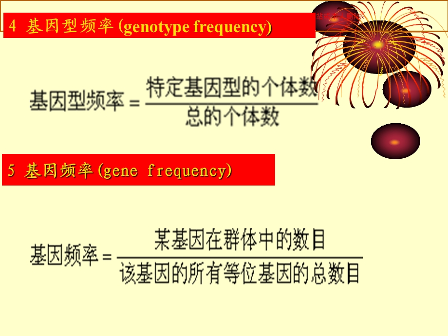 群体遗传分析ppt课件.ppt_第3页