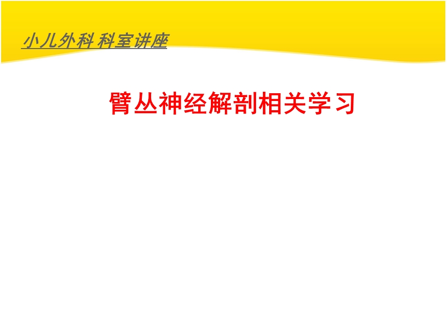 臂丛神经解剖课件.ppt_第1页