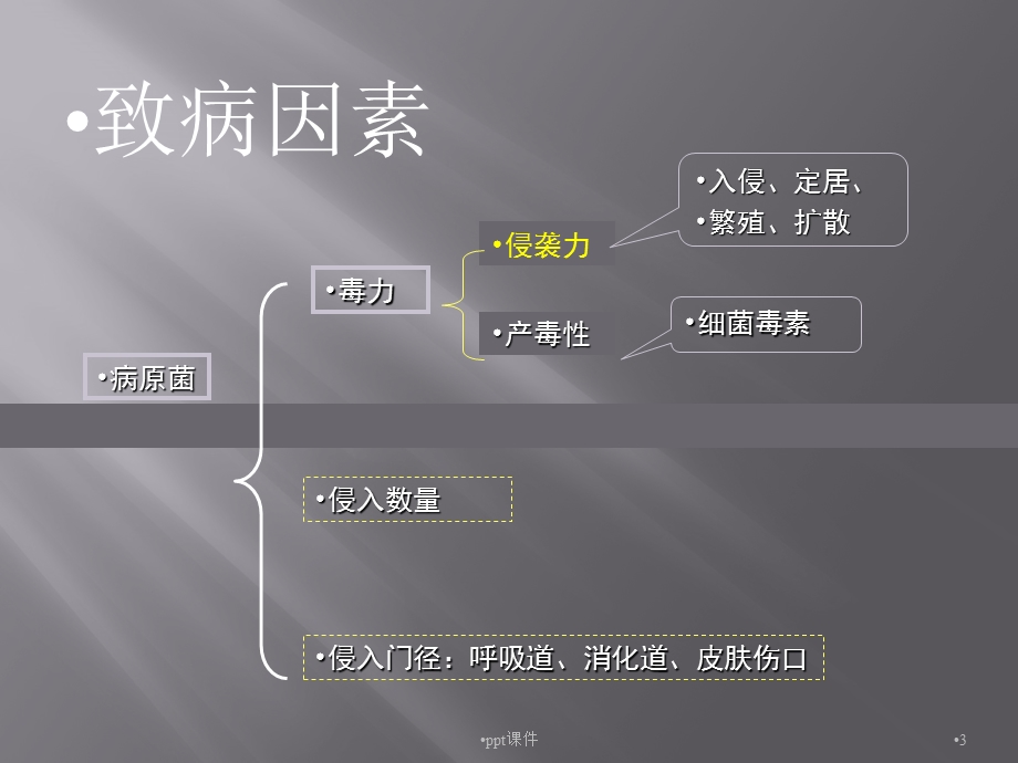 第四章 细菌的致病性与感染课件.ppt_第3页