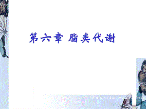 生物化学第六章 课件.ppt