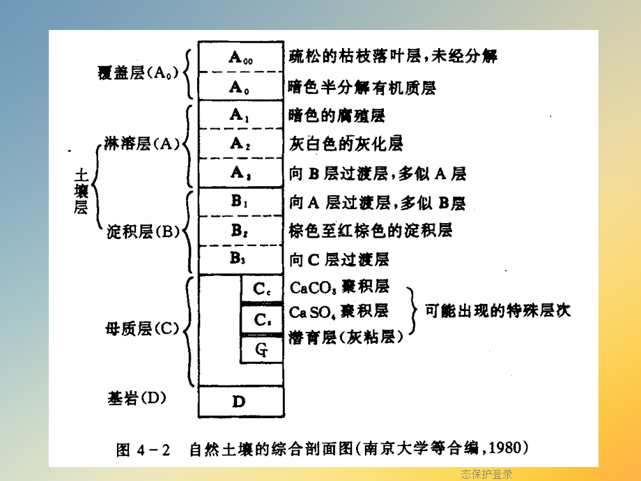 第十一章土壤环境污染防治与土壤生态保护登录课件.ppt_第3页