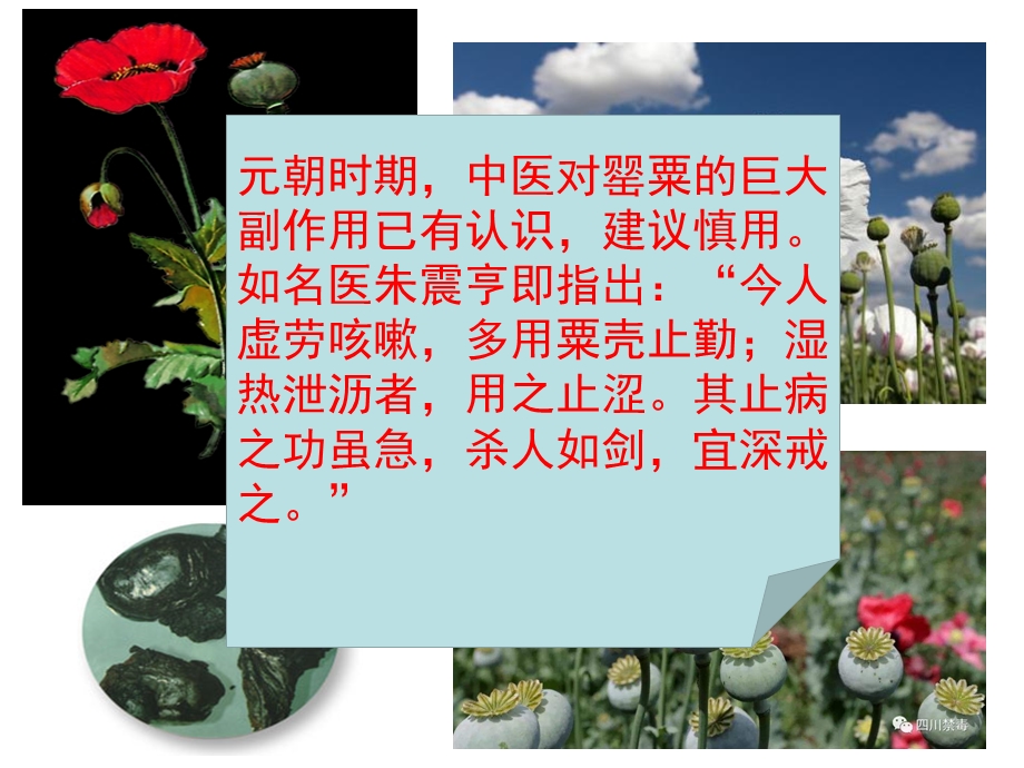 第一课鸦片战争课件.ppt_第1页