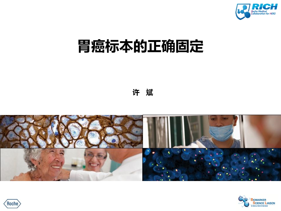 胃癌标本的正确固定许分析课件.ppt_第1页