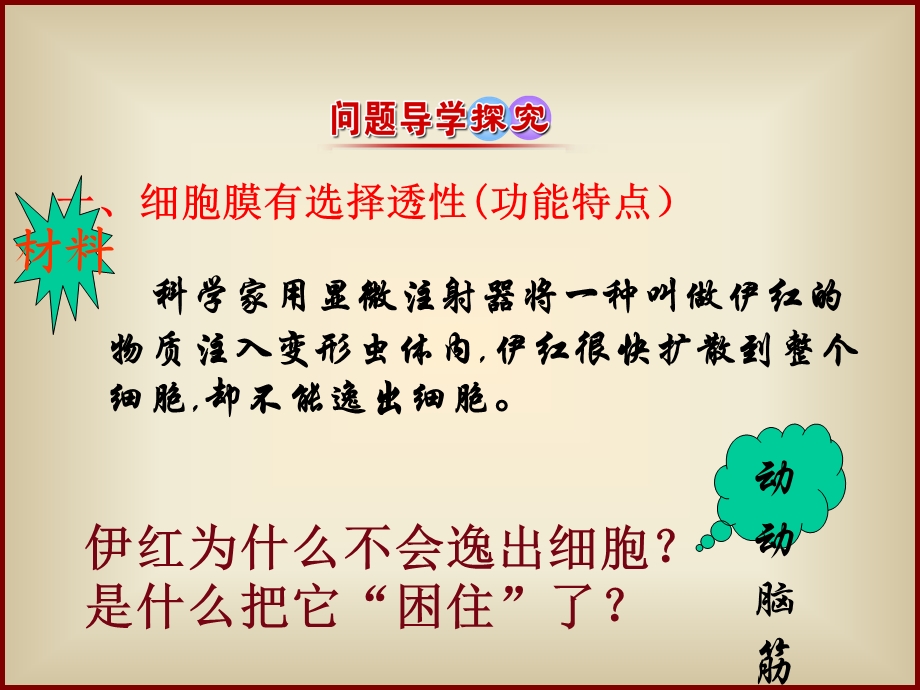 细胞膜和细胞壁课件.ppt_第3页