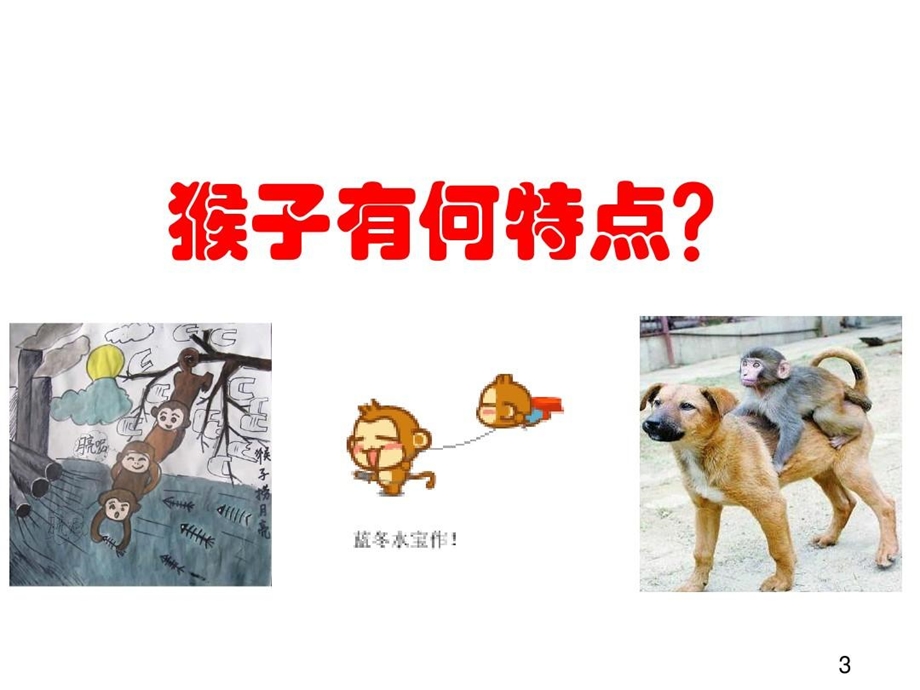 猴子管理法研讨会课件.ppt_第3页