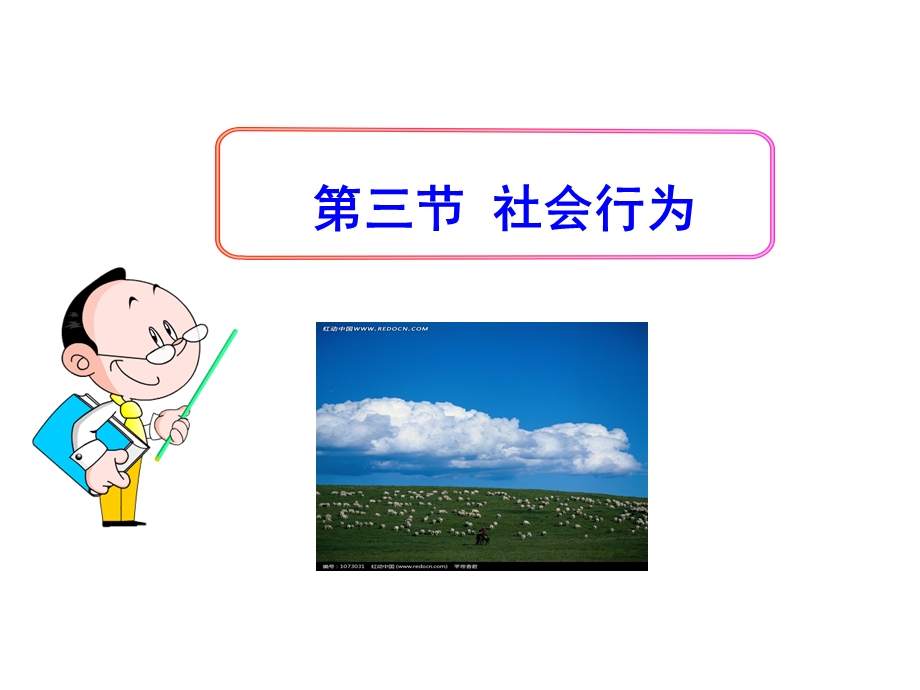 第三节社会行为完整版ppt课件.ppt_第1页