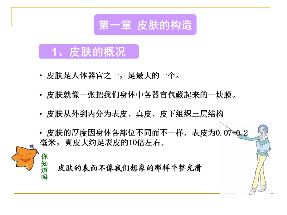 皮肤基础知识课件.ppt_第2页