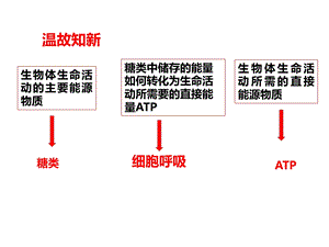 细胞呼吸的原理和应用课件.ppt