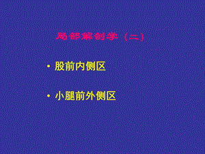 腿部局部解剖课件.ppt