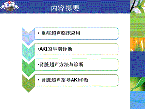 肾脏超声导向的早期诊断课件.ppt