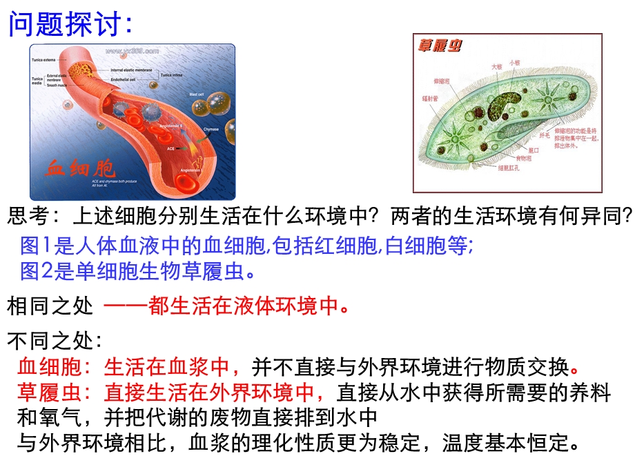 细胞生活的环境 课件.ppt_第2页