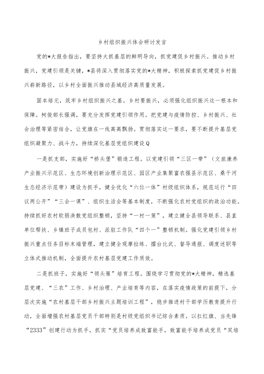 乡村组织振兴体会研讨发言.docx_第1页