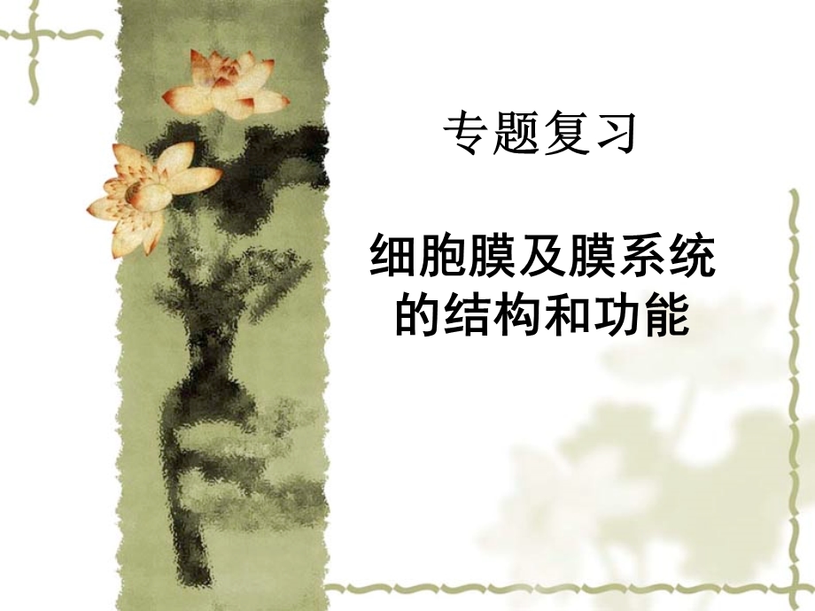 细胞膜及膜系统的结构和功能全解课件.ppt_第1页