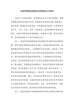 乡村振兴经验材料---全面贯彻新发展理念 统筹推进乡村振兴.docx