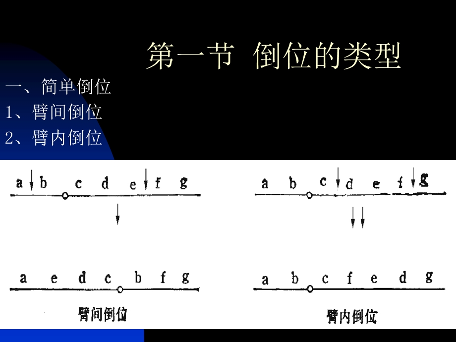 第五章染色体倒位课件.ppt_第2页