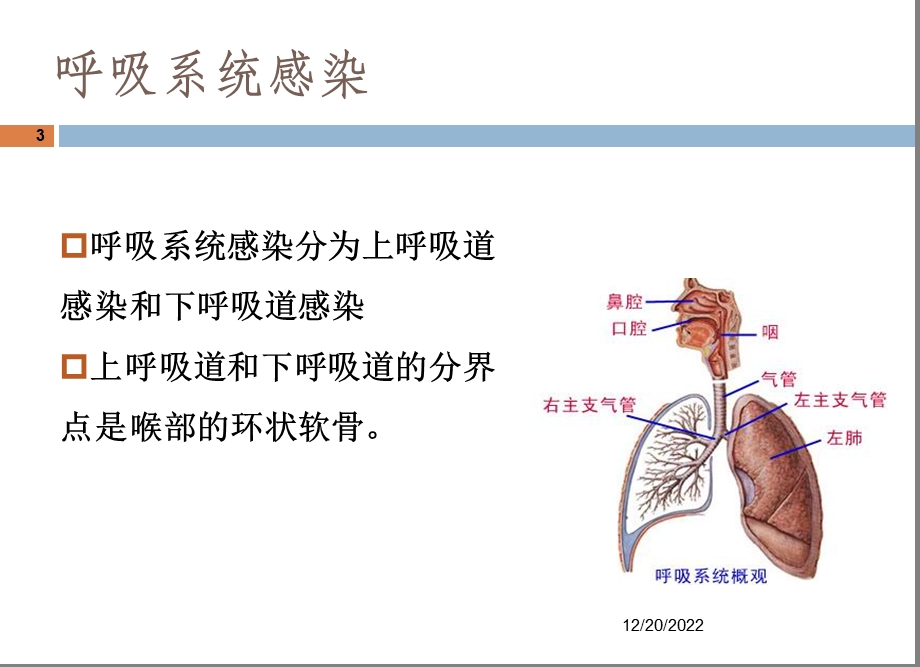 社区获得性肺炎(CAP)严重度评价与抗生素使用课件.ppt_第3页