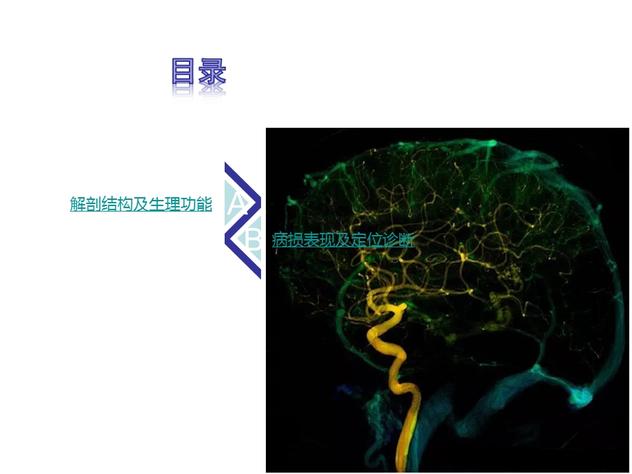 脑血管的解剖课件.ppt_第1页